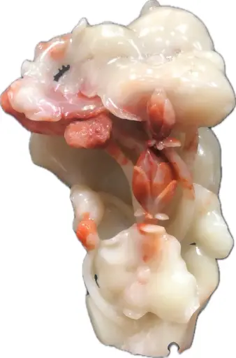 [GS0122] 荷花盛開